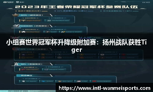 小组赛世界冠军杯升降级附加赛：扬州战队获胜Tiger